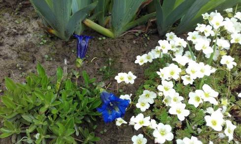 20170506_105434.jpg