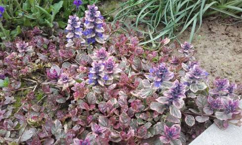 20170506_105418.jpg