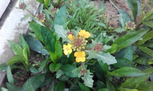 20170506_105409.jpg
