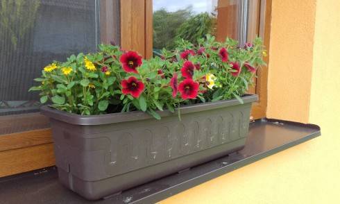 20170524_161439.jpg