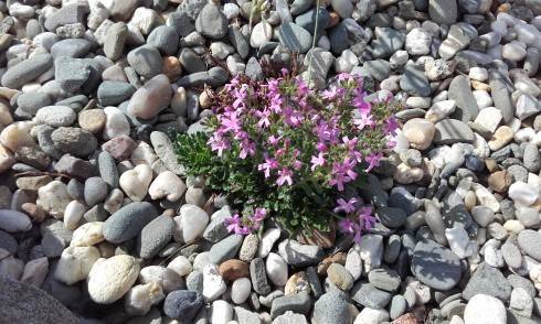 20170524_161415.jpg