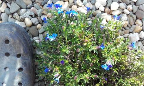 20170524_161342.jpg