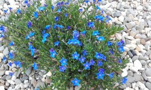20170604_145704.jpg