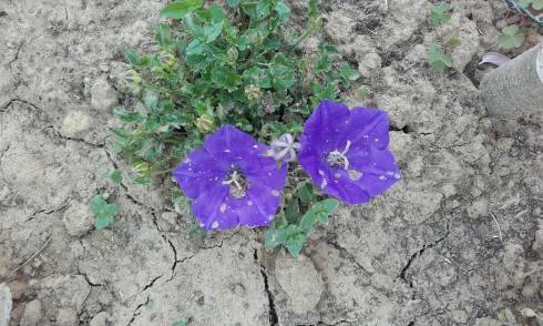 20170604_145539.jpg
