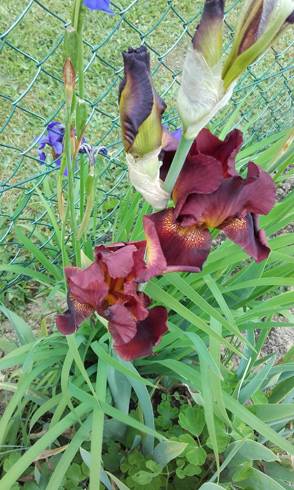 20170604_145435.jpg