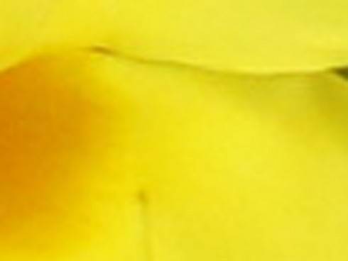 IMG_4044_2.jpg