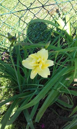 20170611_095134.jpg