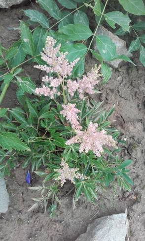 20170629_065400.jpg