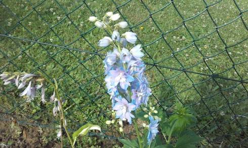 20170706_091200.jpg
