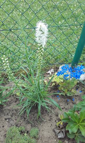 20170713_171946.jpg