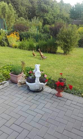 20170718_171732.jpg