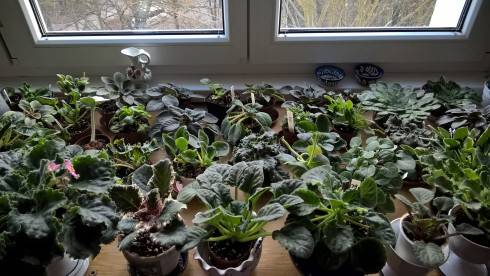 WP_20180224_15_07_56_Pro.jpg