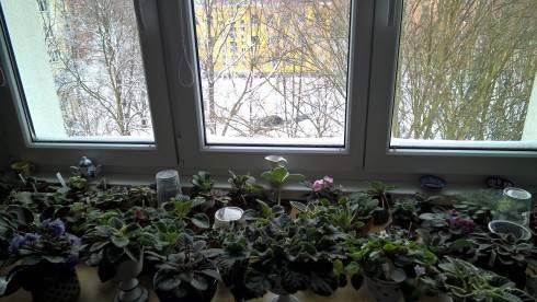 WP_20180317_13_29_23_Pro.jpg