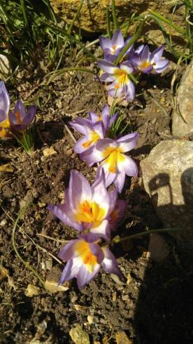 IMG-20180321-WA0005.jpg