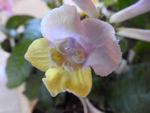 DSCN1044.JPG