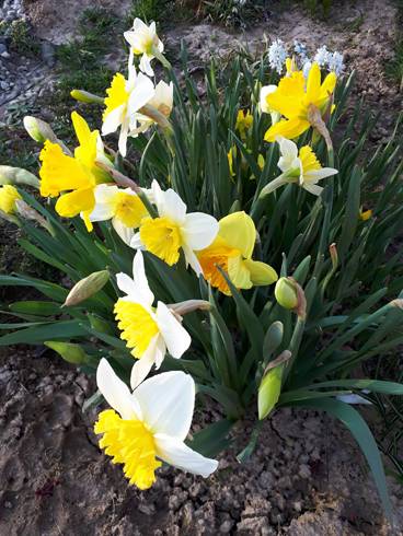 20180409_182023.jpg