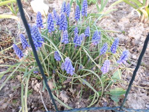 20180412_064944.jpg