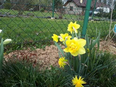 20180415_093528.jpg
