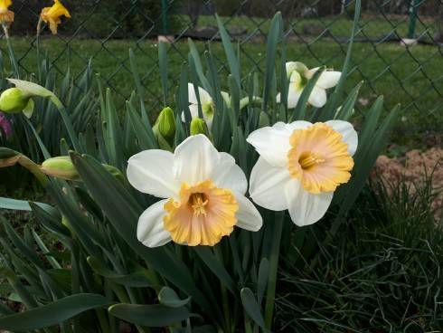 20180415_093524.jpg
