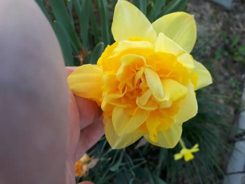 20180419_190725(0).jpg