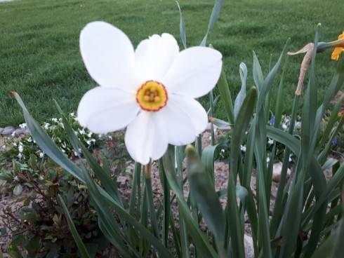 20180419_191953.jpg