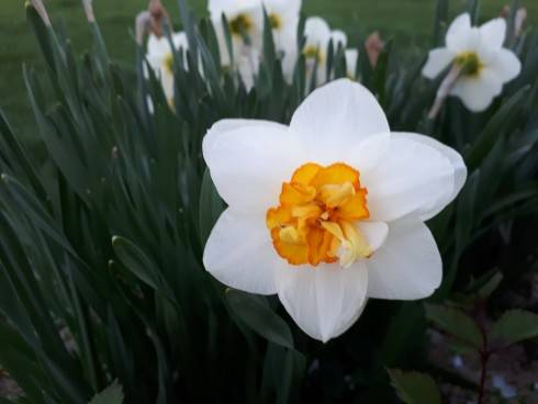 20180419_192014.jpg