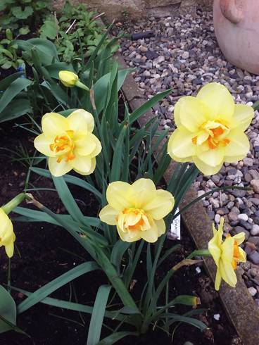 20180415_080035.jpg