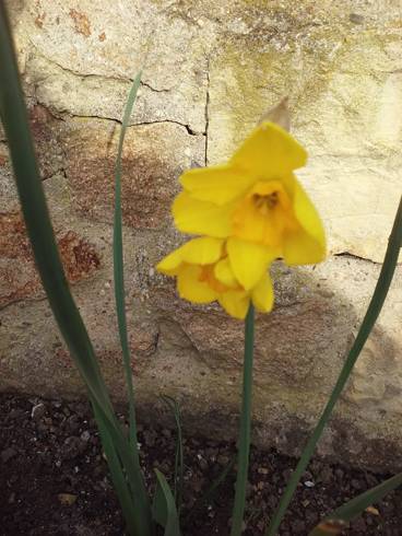 20180415_080239.jpg
