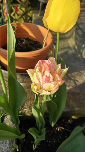 20180421_073043_HDR[1].jpg