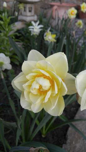 20180421_073117[1].jpg