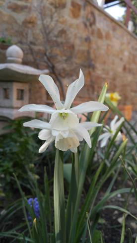 20180422_162507[1].jpg
