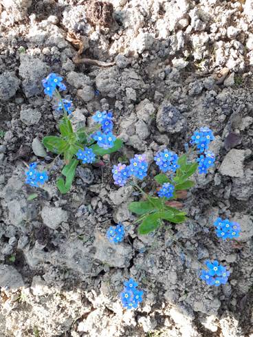 20180501_074835.jpg