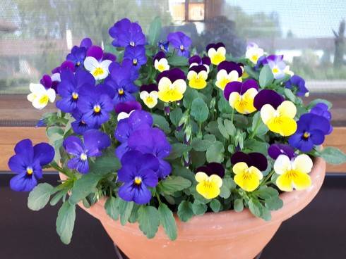 20180430_085256.jpg
