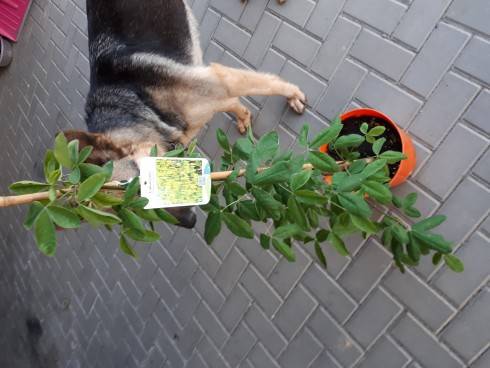 20180502_192023.jpg