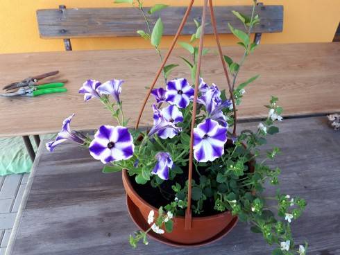 20180507_144627.jpg