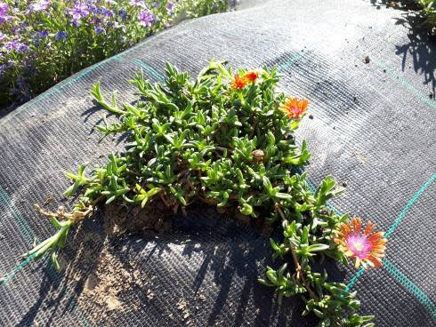 20180507_153603.jpg