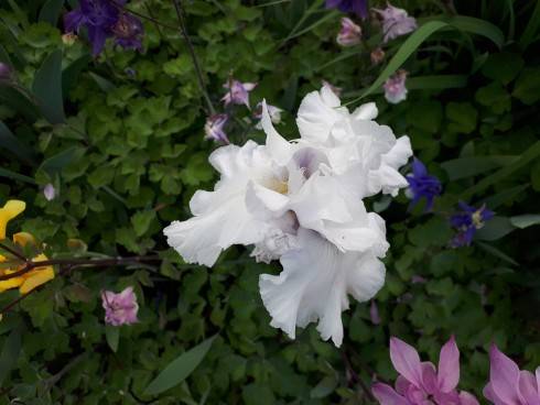 20180512_184348.jpg