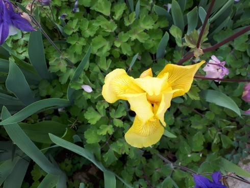 20180512_184354.jpg