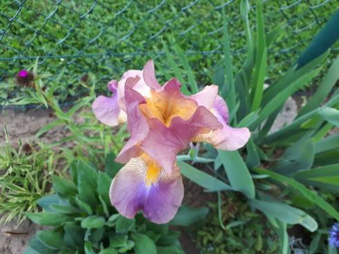 20180512_184516.jpg