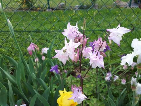 20180512_184607.jpg