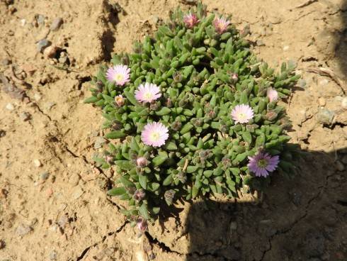 DSCN1162.JPG
