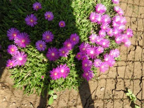 DSCN1167.JPG