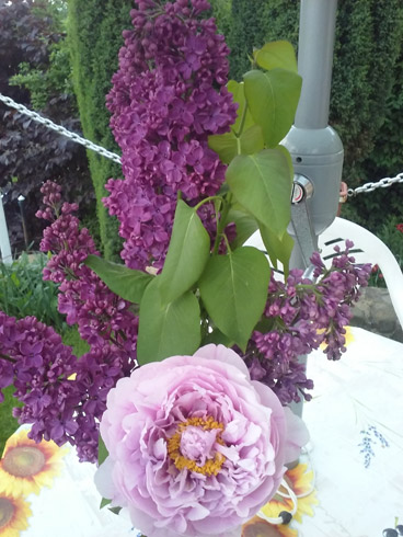 20180428_195751.jpg