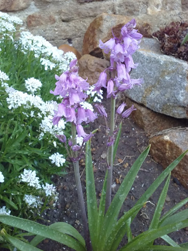 20180505_193239.jpg