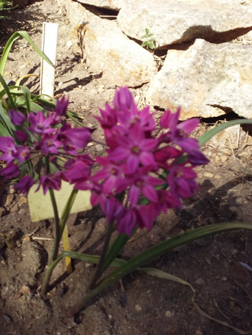20180520_160356.jpg