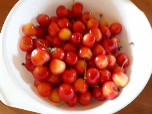 20180608_101813.jpg