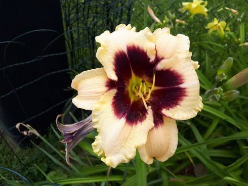 20180610_152709.jpg