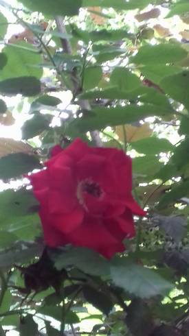 20180605_173643.jpg