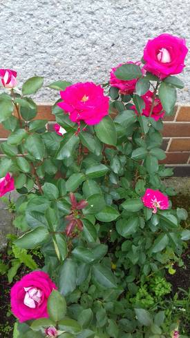 20180605_173814.jpg
