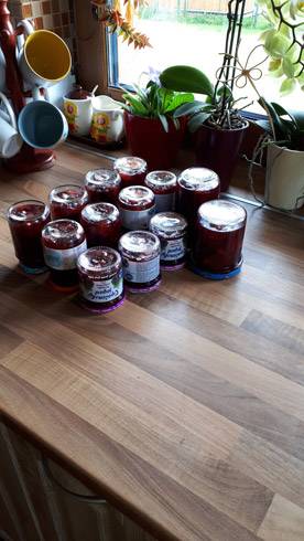 20180706_141838.jpg